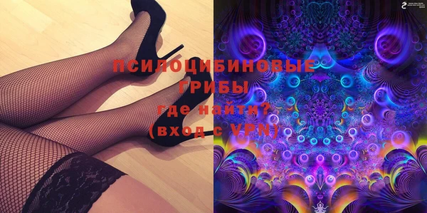 прущие грибы Аркадак