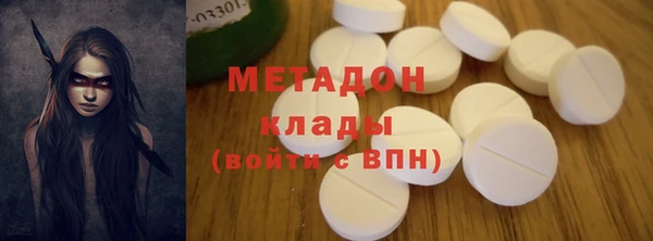прущие грибы Аркадак