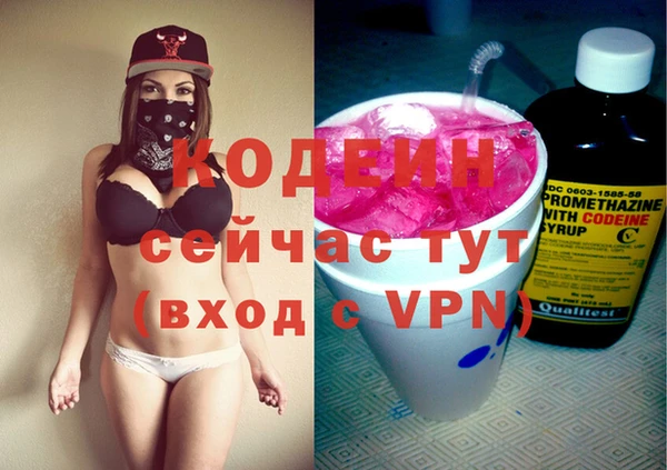 прущие грибы Аркадак