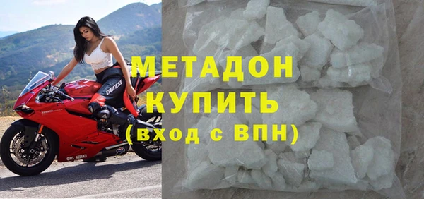 прущие грибы Аркадак