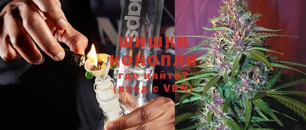 прущие грибы Аркадак