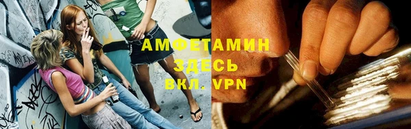 прущие грибы Аркадак