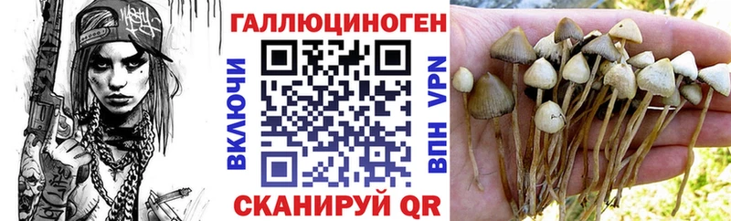 наркотики  KRAKEN зеркало  Галлюциногенные грибы прущие грибы  Энем 
